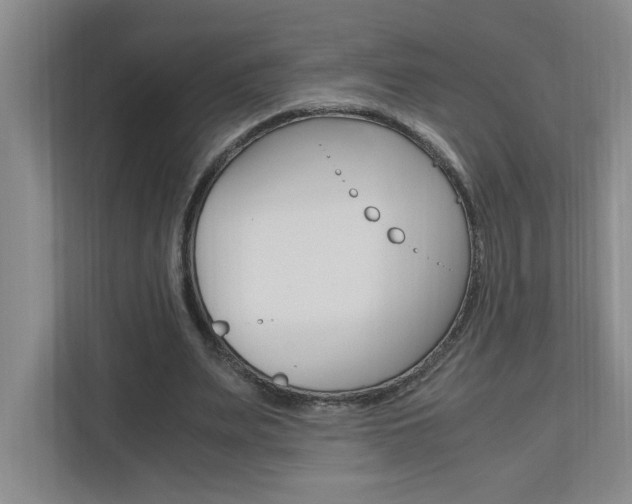 X0000110990487200906191113