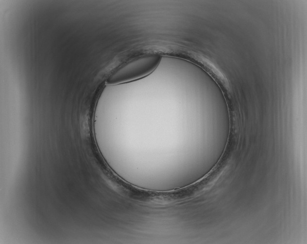 X0000110990489200906191113