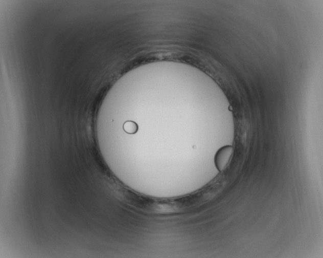 X0000110990510200906191113