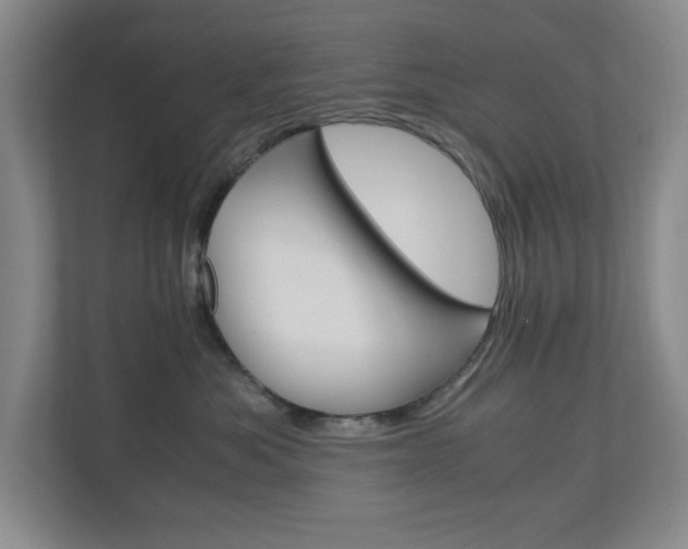 X0000110990525200906191113