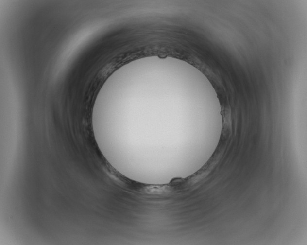 X0000110990526200906191113
