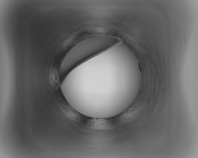 X0000110990528200906191113