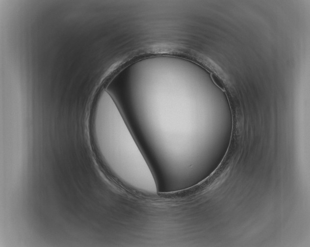 X0000110990530200906191112
