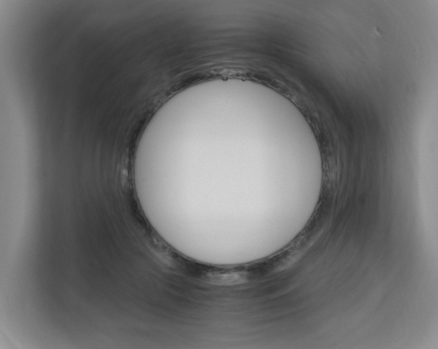 X0000110990553200906191112