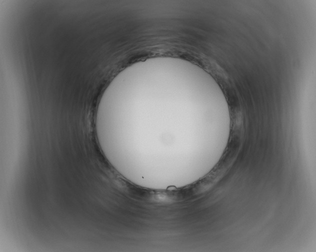 X0000110990565200906191112