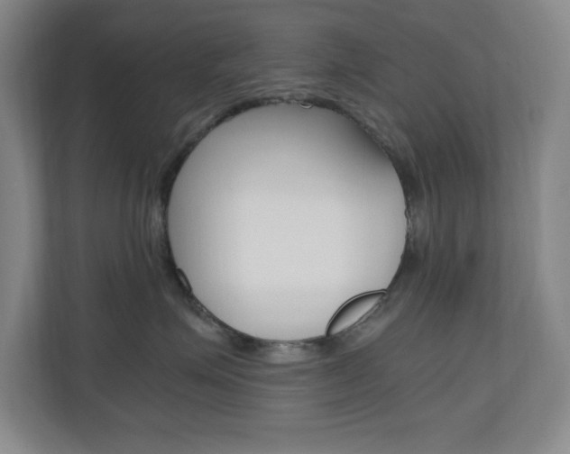 X0000110990623200906191111