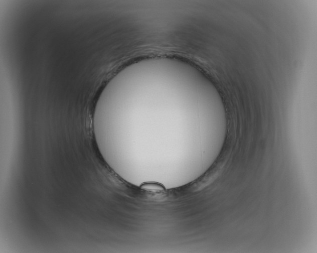 X0000110990624200906191111