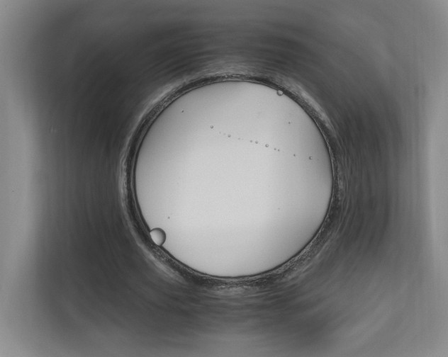 X0000110990629200906191111