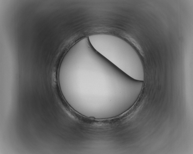 X0000110990633200906191111
