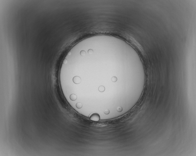 X0000110990635200906191111