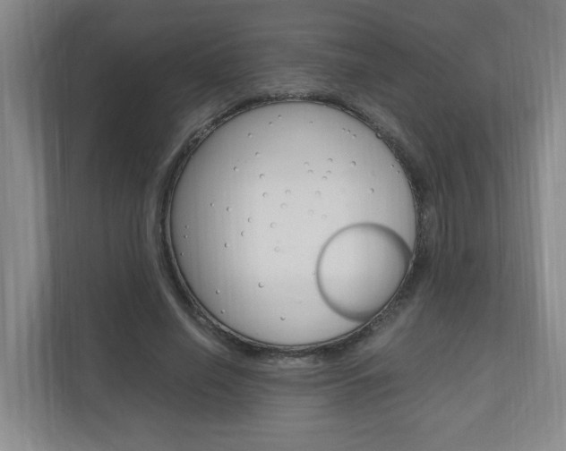 X0000110990638200906191111