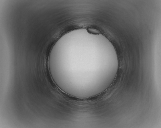 X0000110990646200906191111