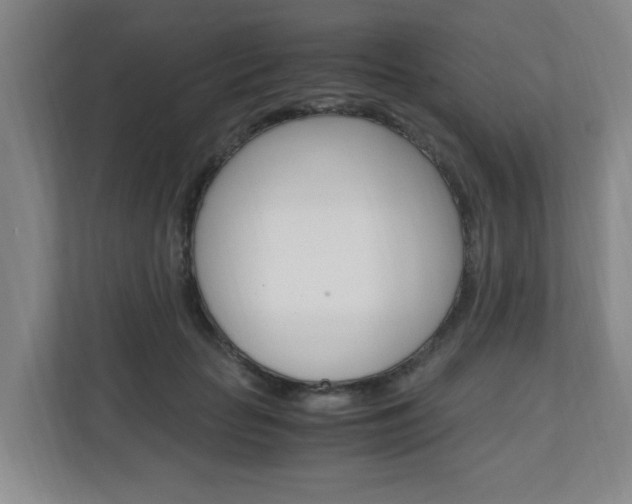 X0000110990653200906191111