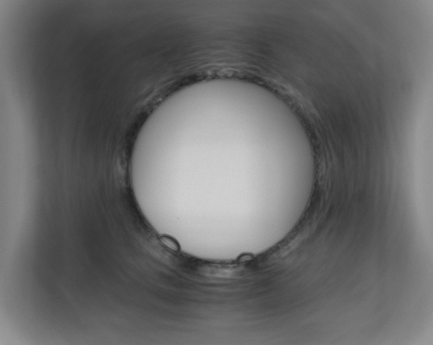 X0000110990661200906191111