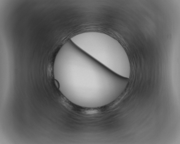 X0000110990669200906191111