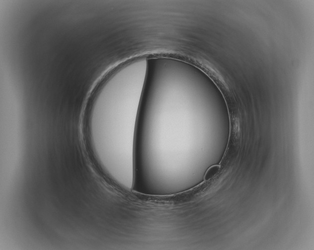 X0000110990676200906191111
