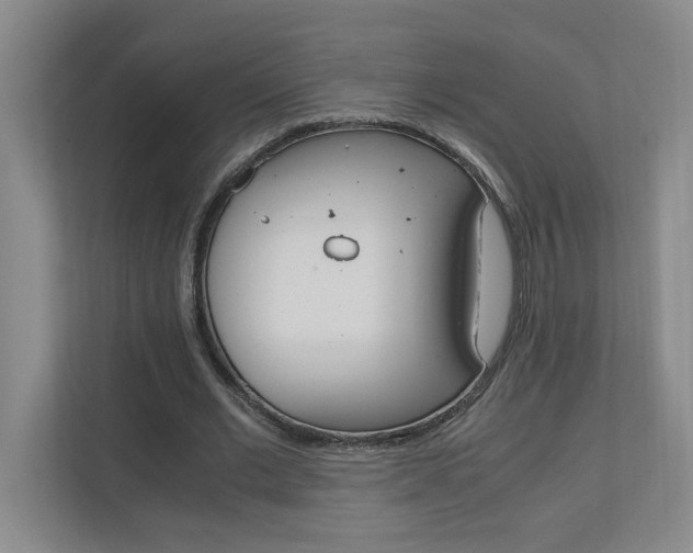 X0000110990677200906191111