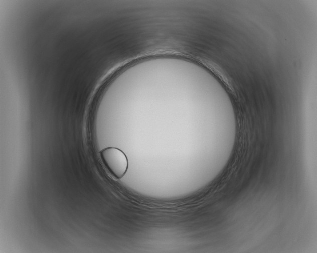 X0000110990680200906191111