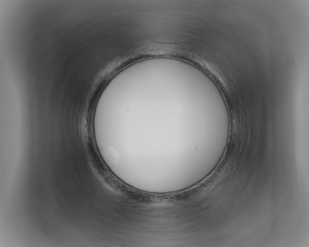 X0000110990682200906191111