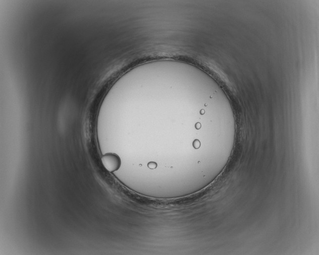 X0000110990683200906191111
