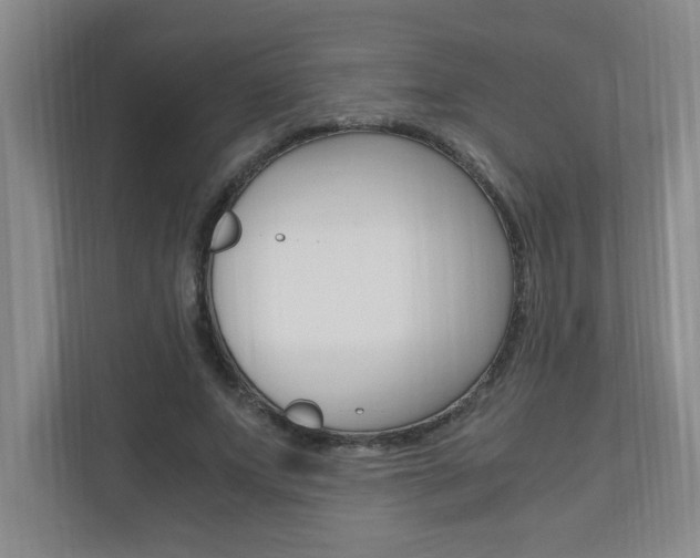 X0000110990687200906191111