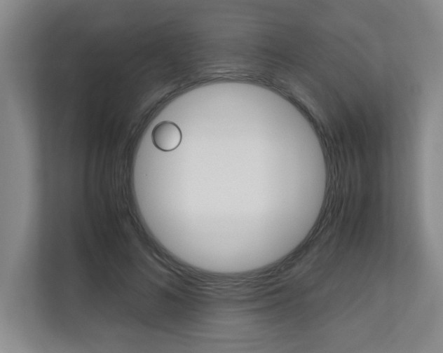 X0000110990692200906191110
