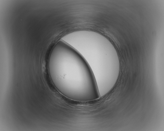 X0000110990693200906191110