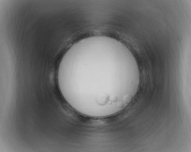 X0000110990698200906191110