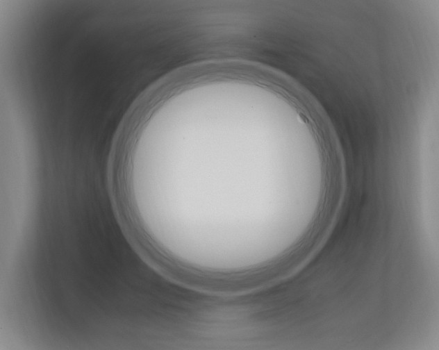 X0000110990701200906191110