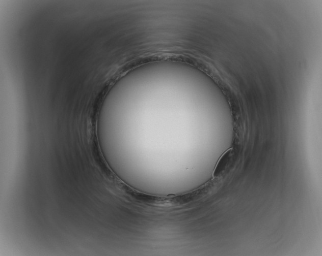 X0000110990704200906191110