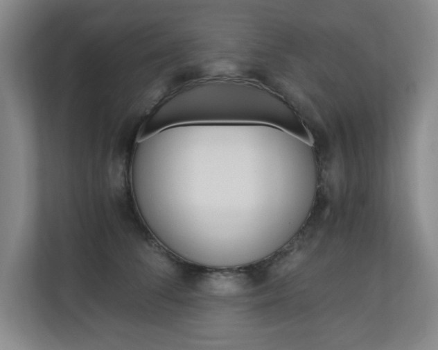 X0000110990708200906191110