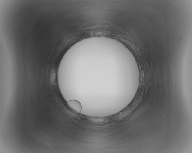 X0000110990709200906191110