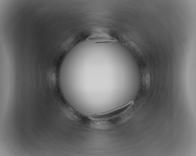 X0000110990716200906191110