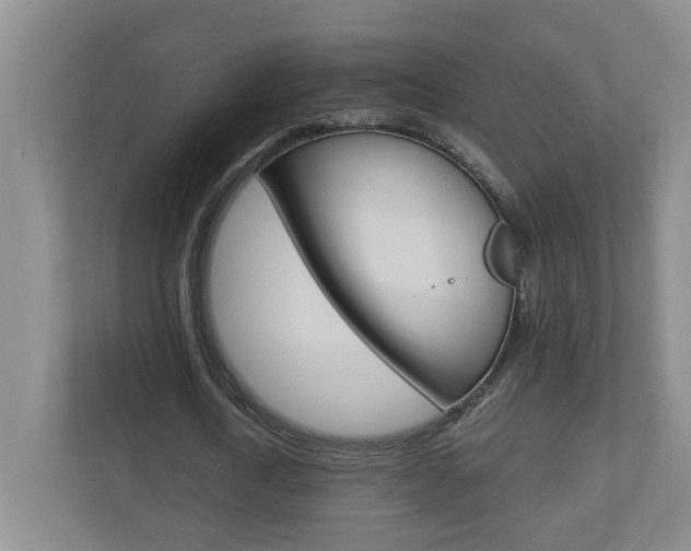 X0000110990722200906191109