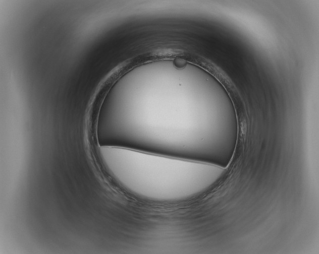 X0000110990724200906191110