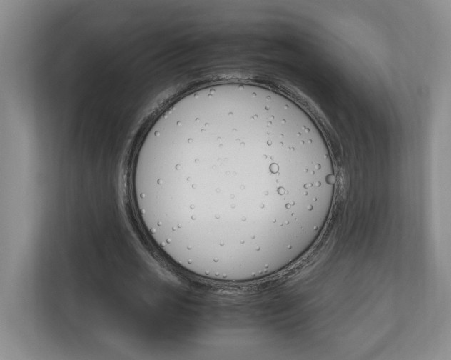 X0000110990725200906191110