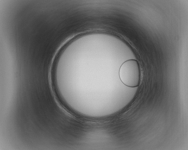 X0000110990726200906191110
