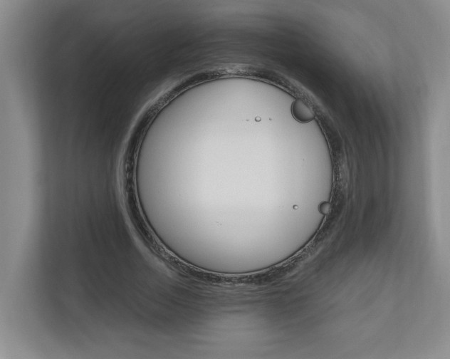 X0000110990730200906191110
