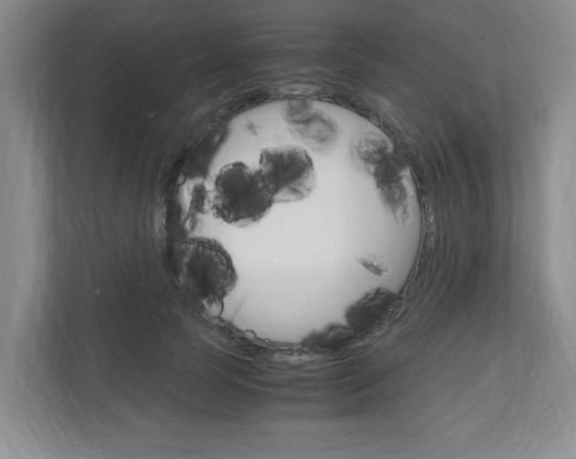 X0000110990745200906191110