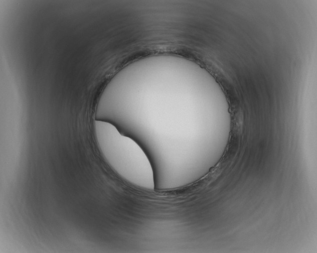 X0000110990746200906191110