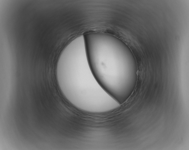 X0000110990748200906191110