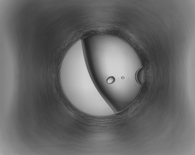 X0000110990750200906191110