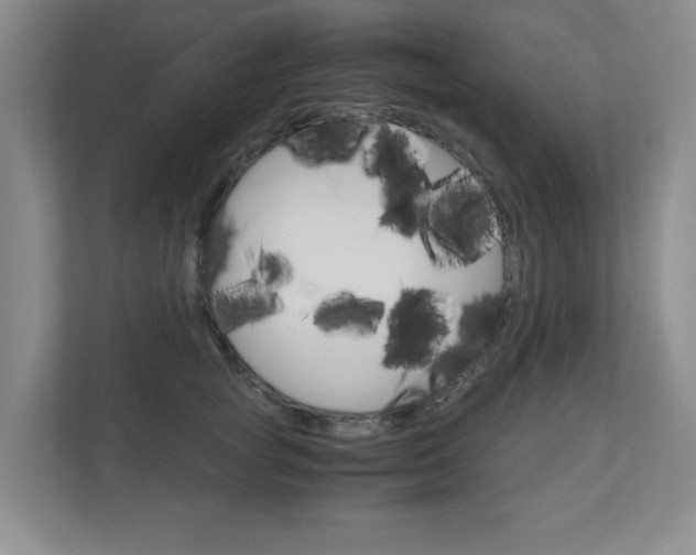 X0000110990757200906191110