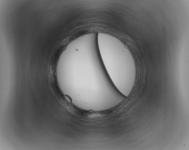 X0000110990759200906191110