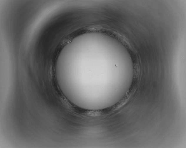 X0000110990762200906191110