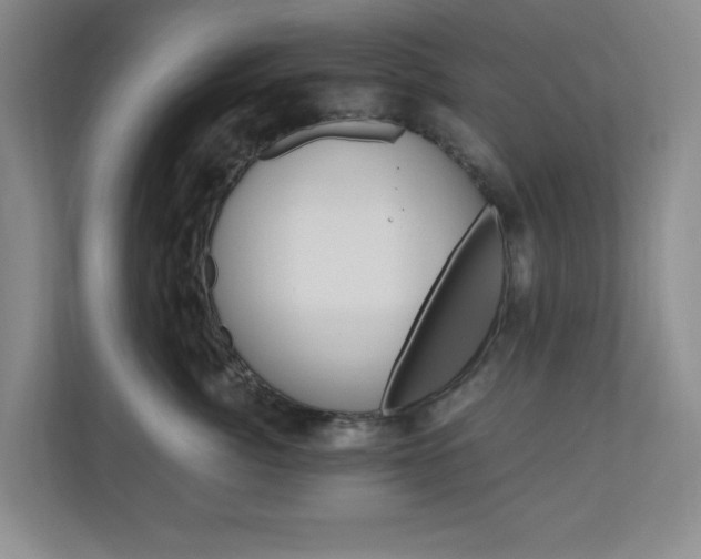 X0000110990764200906191110