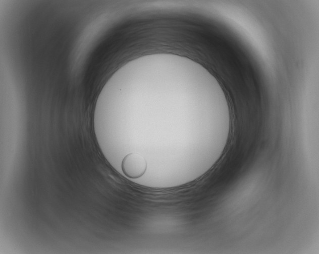 X0000110990766200906191110