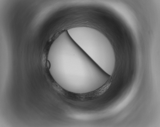 X0000110990767200906191110