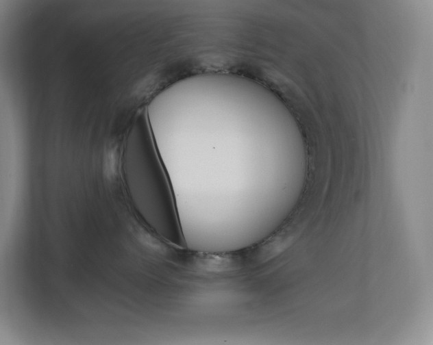 X0000110990768200906191110