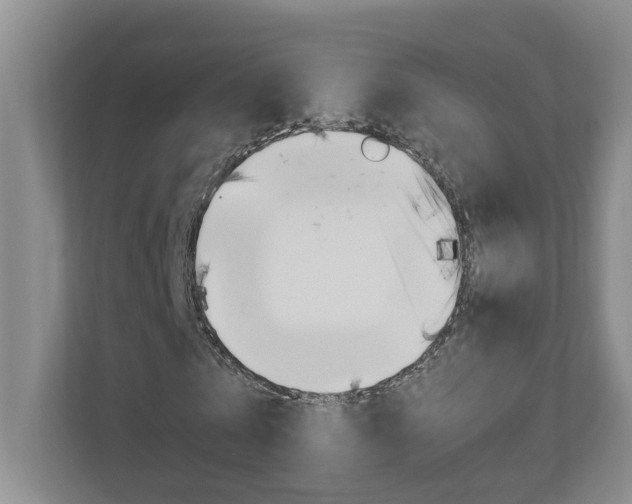 X0000110990769200906191109